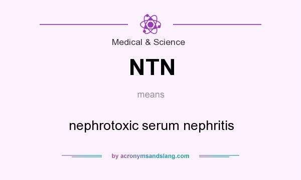 What does NTN mean? It stands for nephrotoxic serum nephritis
