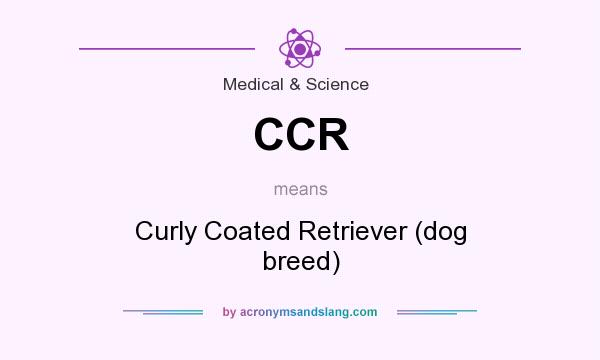 What does CCR mean? It stands for Curly Coated Retriever (dog breed)