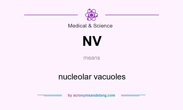 What does NV mean? It stands for nucleolar vacuoles