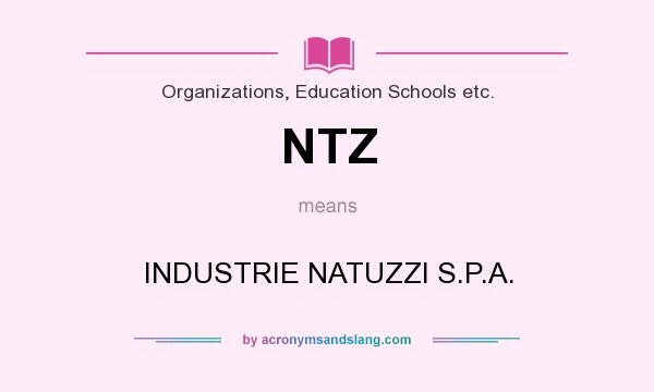What does NTZ mean? It stands for INDUSTRIE NATUZZI S.P.A.