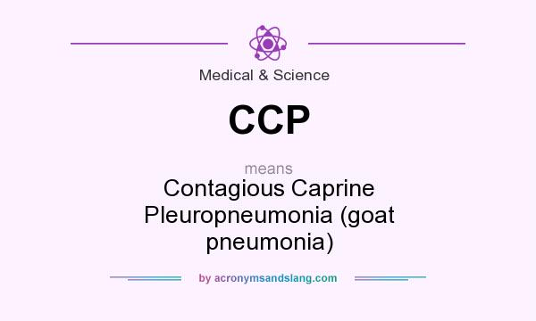 What does CCP mean? It stands for Contagious Caprine Pleuropneumonia (goat pneumonia)