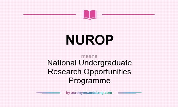 What does NUROP mean? It stands for National Undergraduate Research Opportunities Programme