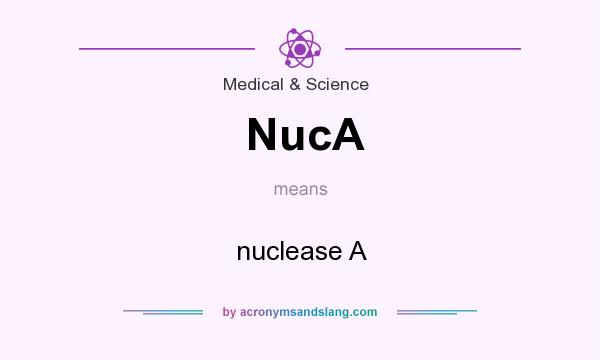 What does NucA mean? It stands for nuclease A