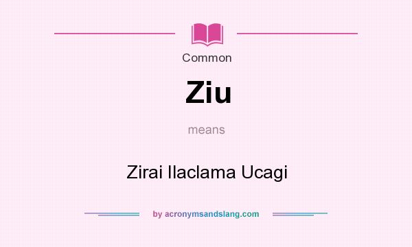 What does Ziu mean? It stands for Zirai Ilaclama Ucagi