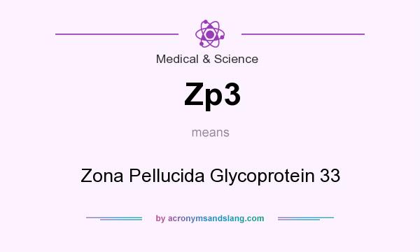 What does Zp3 mean? It stands for Zona Pellucida Glycoprotein 33