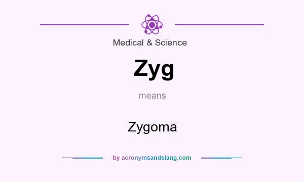 What does Zyg mean? It stands for Zygoma