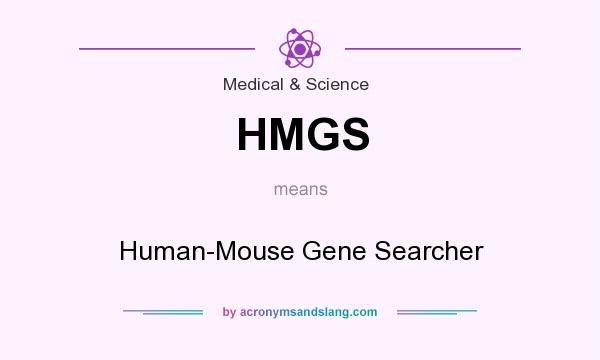 What does HMGS mean? It stands for Human-Mouse Gene Searcher