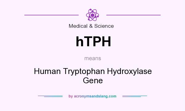 What does hTPH mean? It stands for Human Tryptophan Hydroxylase Gene