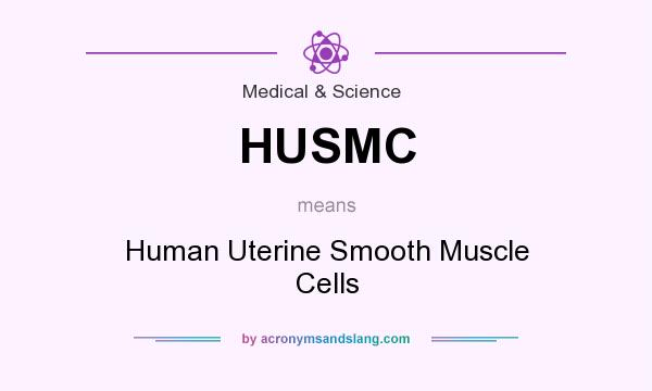 What does HUSMC mean? It stands for Human Uterine Smooth Muscle Cells