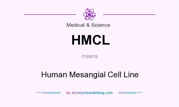 What does HMCL mean? It stands for Human Mesangial Cell Line
