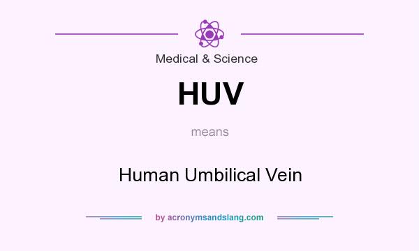 What does HUV mean? It stands for Human Umbilical Vein