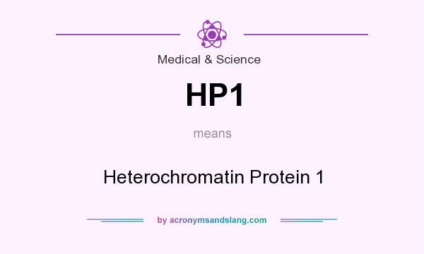 What does HP1 mean? It stands for Heterochromatin Protein 1