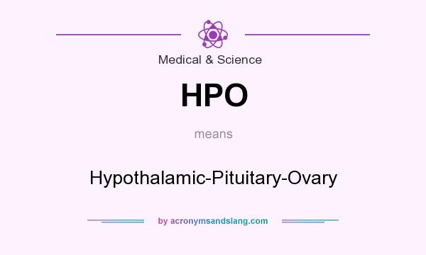 What does HPO mean? It stands for Hypothalamic-Pituitary-Ovary