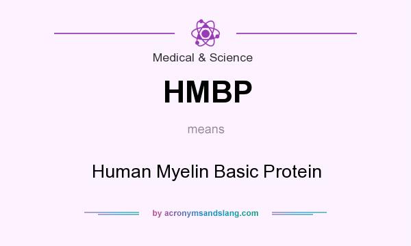 What does HMBP mean? It stands for Human Myelin Basic Protein