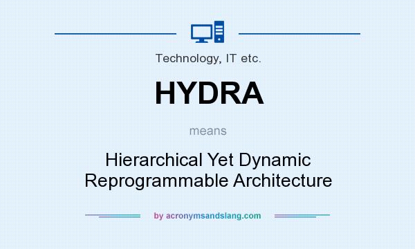 What does HYDRA mean? It stands for Hierarchical Yet Dynamic Reprogrammable Architecture
