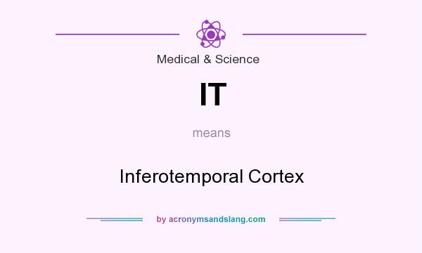 What does IT mean? It stands for Inferotemporal Cortex