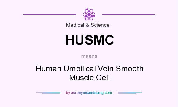 What does HUSMC mean? It stands for Human Umbilical Vein Smooth Muscle Cell