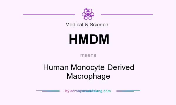 What does HMDM mean? It stands for Human Monocyte-Derived Macrophage