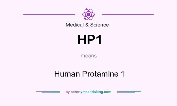 What does HP1 mean? It stands for Human Protamine 1