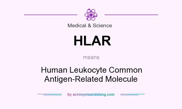 What does HLAR mean? It stands for Human Leukocyte Common Antigen-Related Molecule