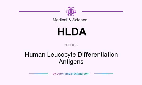 What does HLDA mean? It stands for Human Leucocyte Differentiation Antigens