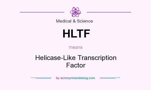 What does HLTF mean? It stands for Helicase-Like Transcription Factor