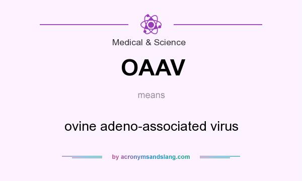 What does OAAV mean? It stands for ovine adeno-associated virus
