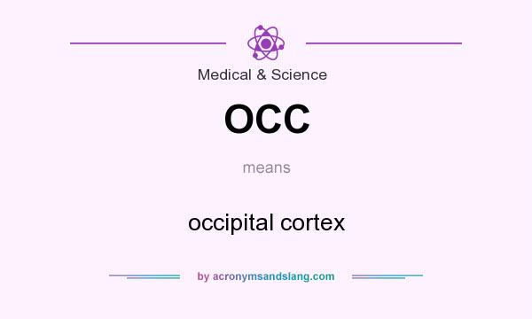 What does OCC mean? It stands for occipital cortex