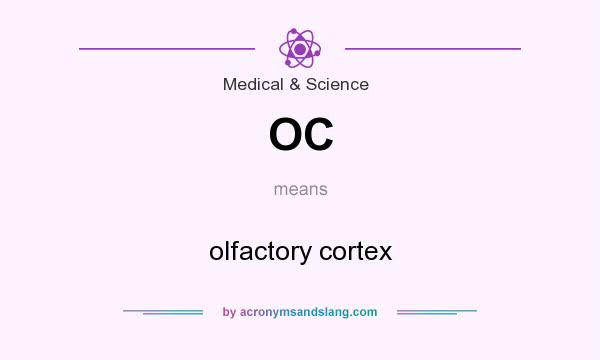 What does OC mean? It stands for olfactory cortex