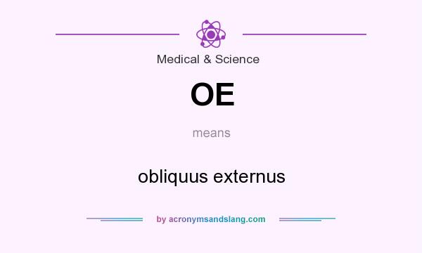 What does OE mean? It stands for obliquus externus