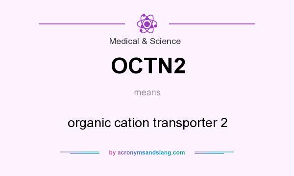 What does OCTN2 mean? It stands for organic cation transporter 2