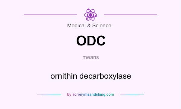 What does ODC mean? It stands for ornithin decarboxylase
