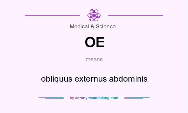What does OE mean? It stands for obliquus externus abdominis