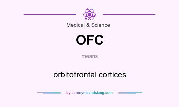 What does OFC mean? It stands for orbitofrontal cortices