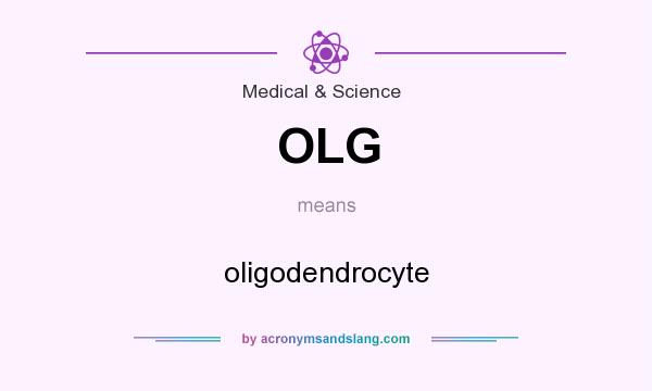 What does OLG mean? It stands for oligodendrocyte
