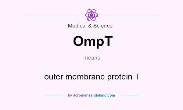 What does OmpT mean? It stands for outer membrane protein T