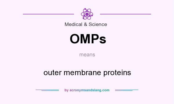 What does OMPs mean? It stands for outer membrane proteins