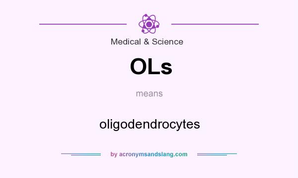 What does OLs mean? It stands for oligodendrocytes