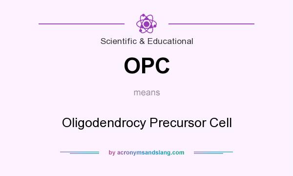 What does OPC mean? It stands for Oligodendrocy Precursor Cell