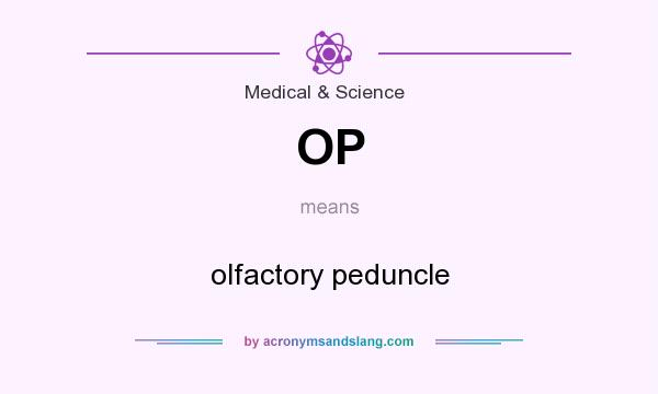 What does OP mean? It stands for olfactory peduncle
