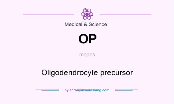 What does OP mean? It stands for Oligodendrocyte precursor