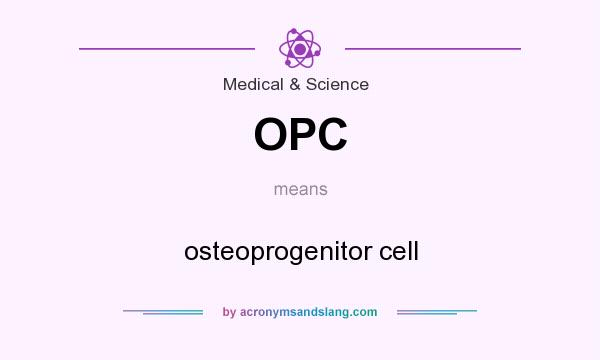 What does OPC mean? It stands for osteoprogenitor cell