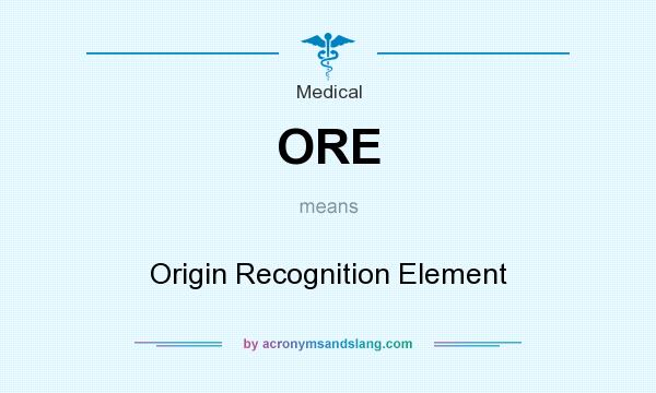 What does ORE mean? It stands for Origin Recognition Element