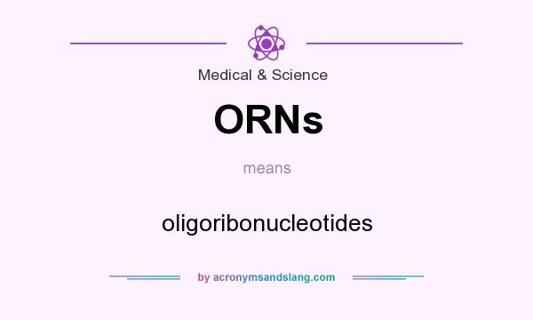 What does ORNs mean? It stands for oligoribonucleotides