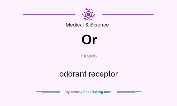 What does Or mean? It stands for odorant receptor