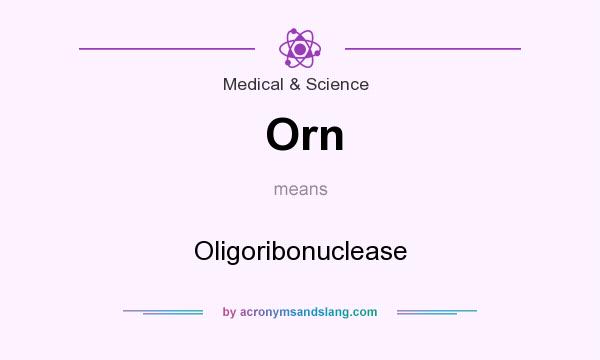 What does Orn mean? It stands for Oligoribonuclease