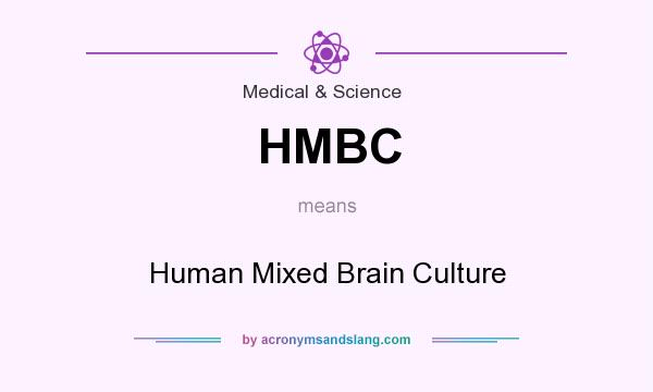 What does HMBC mean? It stands for Human Mixed Brain Culture
