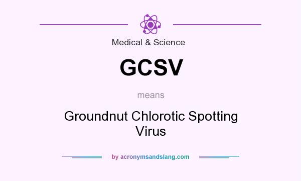 What does GCSV mean? It stands for Groundnut Chlorotic Spotting Virus