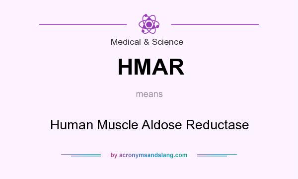 What does HMAR mean? It stands for Human Muscle Aldose Reductase