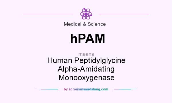 What does hPAM mean? It stands for Human Peptidylglycine Alpha-Amidating Monooxygenase